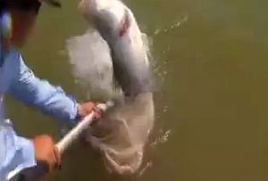 VIDEO: Hook, Line & Sinker promo reel